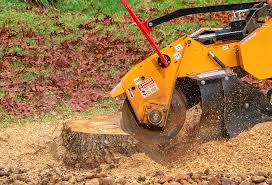 Best Lawn Irrigation Installation and Maintenance  in Tazewell, TN
